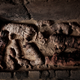 Mummified cats inside a tomb, at an ancient necropolis near Egypt’s famed pyramids in Saqqara, Giza, Egypt.